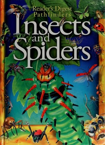 Insects and spiders