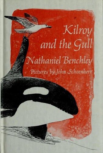 Kilroy and the gull