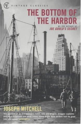 The Bottom of the Harbor (Vintage Classics)