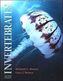 Invertebrates / Edition 2