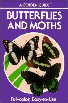 Butterflies and Moths (Golden Guides)