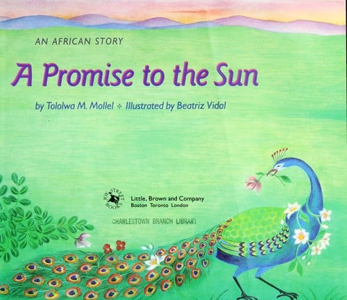A promise to the sun: an African story
