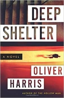 Deep Shelter: A Novel (Detective Nick Belsey Series)