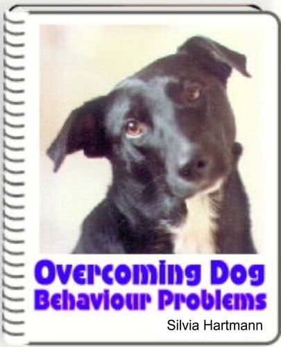 Overcoming Dog Behaviour Problems: House Training, Separation Anxiety, Overcoming Aggression, Socialisation, Rescued Dogs - Solving Dog Problems Step by Step.
