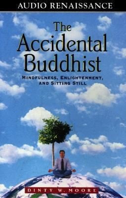 The Accidental Buddhist Mindfulness Enlightenment And Sitting Still