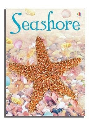 Seashore
            
                Usborne Beginners