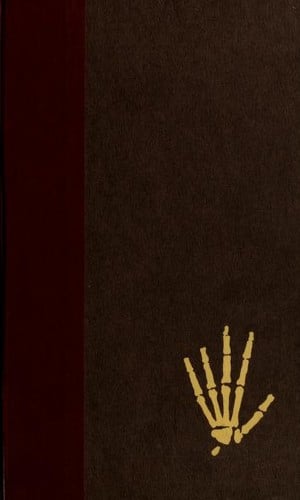 Lucy, the beginnings of humankind