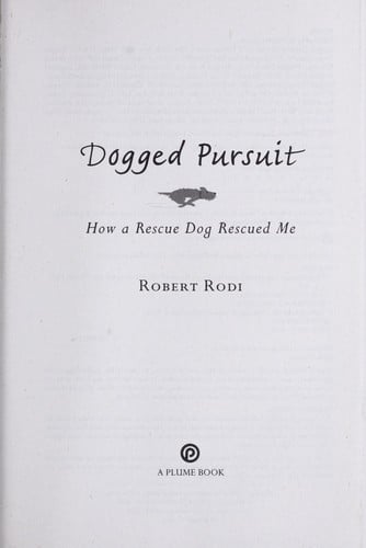 Dogged pursuit: how a rescue dog rescued me