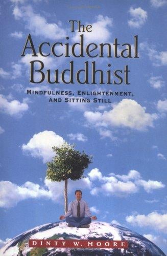 The accidental Buddhist: mindfulness, enlightenment, and sitting still