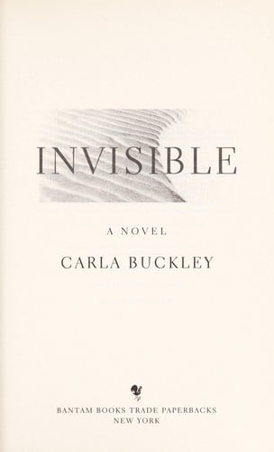 Invisible: a novel