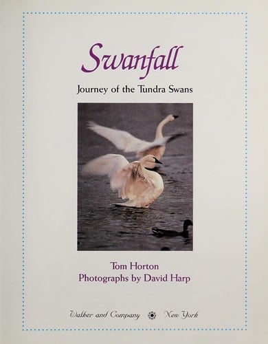 Swanfall: journey of the tundra swans