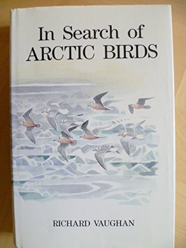 In search of arctic birds