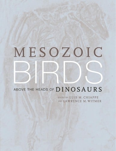Mesozoic birds: above the heads of dinosaurs