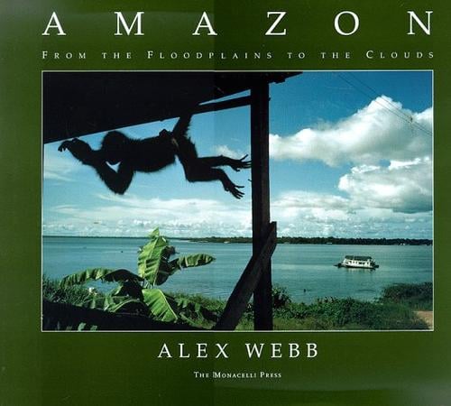 Amazon: From the Floodplains to the Clouds