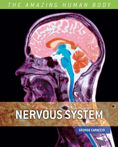 The nervous system