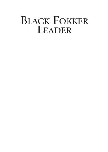 Black Fokker leader: the first world war's last airfighter knight