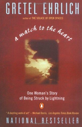 A Match to the Heart: One Woman's Story of Being Struck By Lightning
