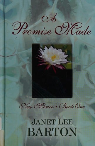 A promise made: heartbreak of the past draws a couple together in this historical novel