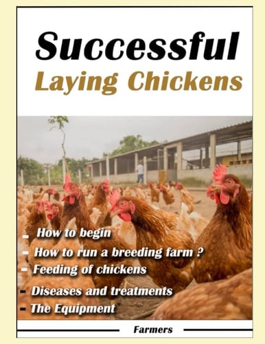 Successful laying Chickens: How to master Raising laying hens