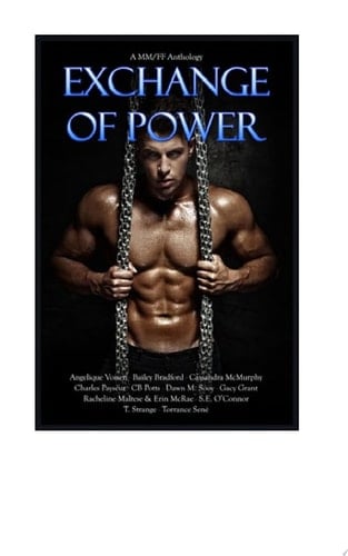 Exchange of Power Anthology