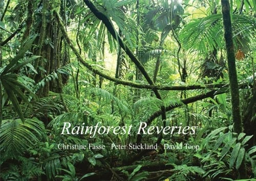 Rainforest Reveries