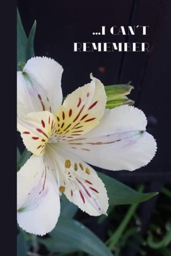 ...I Can't Remember: The Internet Password Logbook With Alphabetical Tabs And A Beautiful Flower Cover