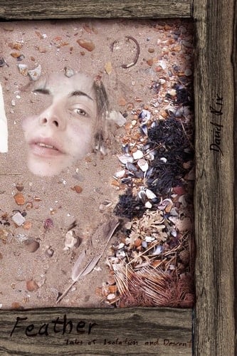 Feather Tales of Isolation and Descent (Paperback)