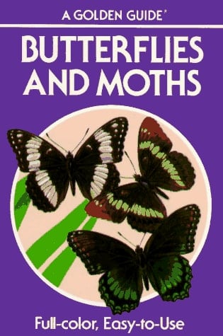 Butterflies and Moths A Guide to the More Common American Species