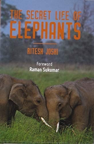 The Secret Life Of Elephants