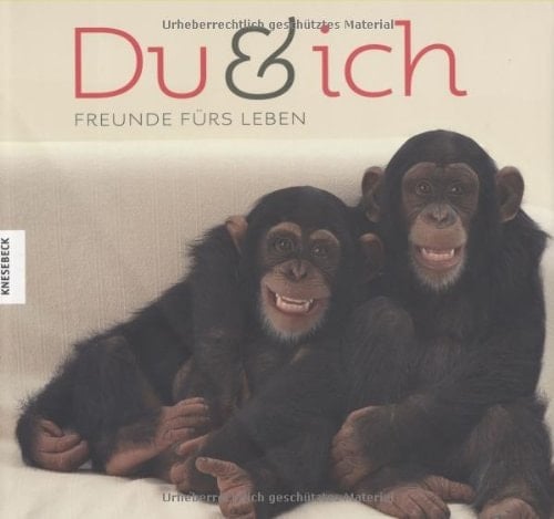 Du und ich Freunde fürs Leben