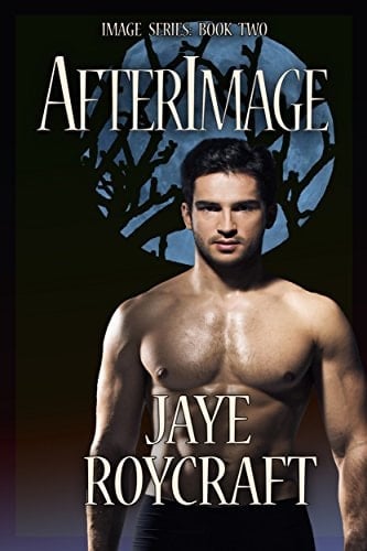 Afterimage (Image Series Book 2)