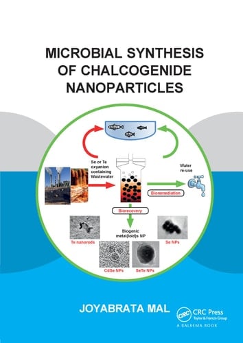 Microbial Synthesis of Chalcogenide Nanoparticles Combining Bioremediation and Biorecovery of Chalcogen in the Form of Chalcogenide Nanoparticles