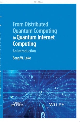 From Distributed Quantum Computing to Quantum Internet Computing