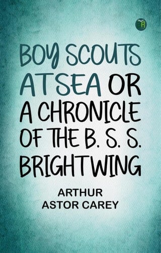 Boy Scouts at Sea