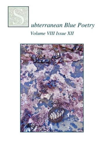 Subterranean Blue Poetry: Volume VIII Issue XII