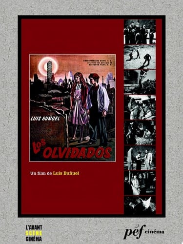 Los Olvidados Scénario du film
