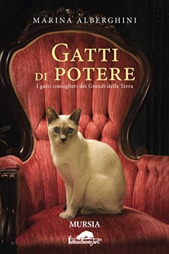 Gatti di potere i gatti consiglieri dei grandi della terra