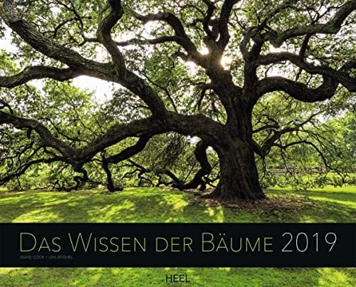 Das Wissen der Bäume 2019: Inspierierende Baumriesen mit Geschichte