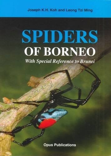 Spiders of Borneo With Special Reference to Brunei