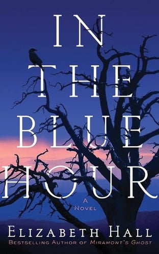 In the Blue Hour: A Novel
