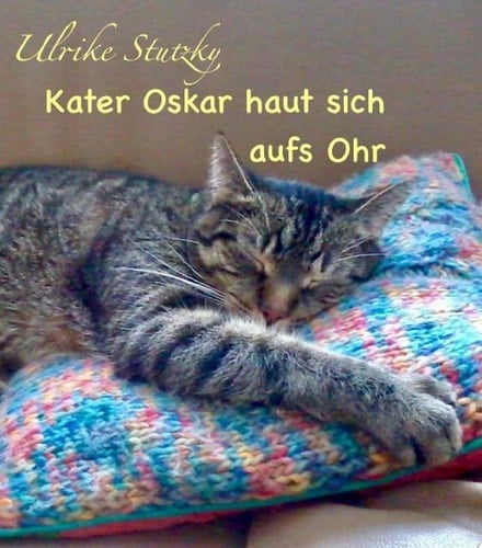 Kater Oskar haut sich aufs Ohr Vom Leben mit einem Felllosen
