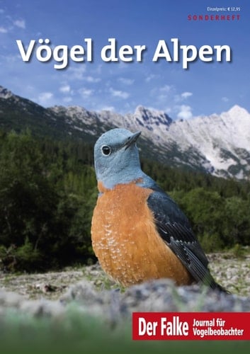 Vögel der Alpen
