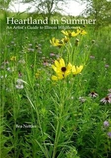 Heartland in Summer: An Artist's Guide to Illinois Wildflowers