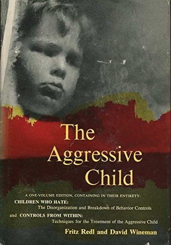 Aggressive Child, The