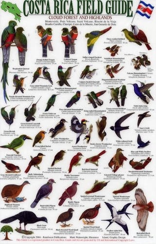 Birds of the Cloud Forest and Highlands (Costa Rica Field Guides)