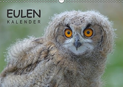 Eulen-Kalender - Wandkalender 2015;