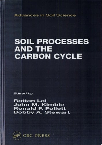 Soil Processes and the Carbon Cycle