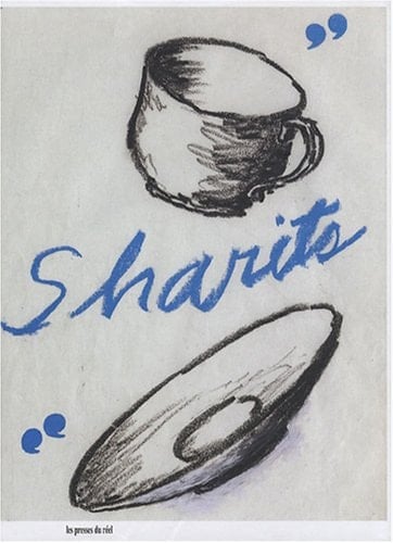 Paul Sharits exposition, Bourogne (Territoire de Belfort), Espace multimédia Gantner, du 13 octobre 2006 au 3 février 2007