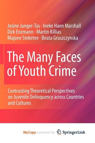 The Many Faces of Youth Crime