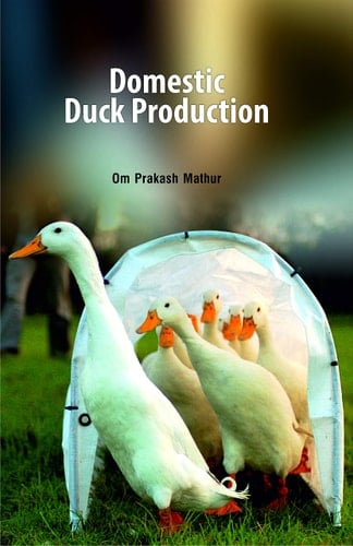 Domestic Duck Production